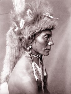Yellow Kidney, Piegan door Edward Sheriff Curtis