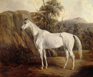 Bolivia, 1836