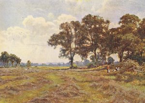 De lucht was geurig van gemaaid en gedroogd gras