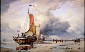 Nederlandse Pincks in Scheveningen, Nederland