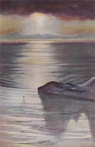 Hut Point vanaf Observation Hill, 1911, 1913 door Charles Edward Wilson