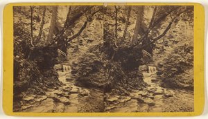 Kunstenaarsstudies, Glen Alpha. Sectie nr. 1. door Edward and Henry T. Anthony and Co.