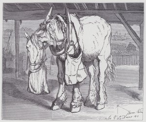 Een Trekpaard door Edwin (after) Landseer