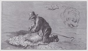 Schapenscheren