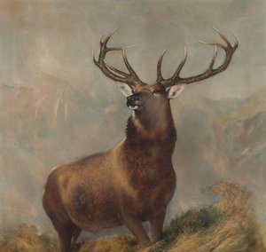 De Monarch van de Glen
