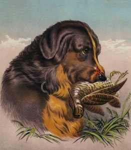 De Retriever door Edwin (after) Landseer