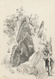 Bottom & Titania, illustratie voor Een Midzomernachtsdroom door Edwin Austin Abbey