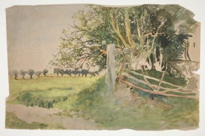 Landschap met bomen en gebroken hek