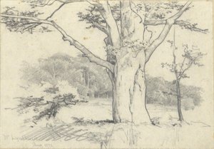 Nr. Lyndhurst, aug. 1871