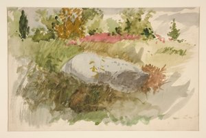 Rotsen en struiken door Edwin Austin Abbey