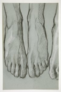 Schets van drie voeten (recto); Schets van één voet (verso)