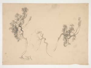 Schetsen van takken door Edwin Austin Abbey