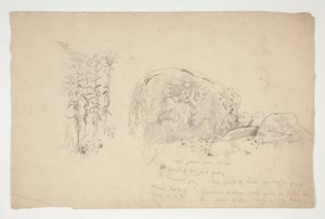 Schetsen van rotsen, onkruid door Edwin Austin Abbey