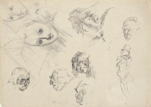 Studies van hoofden