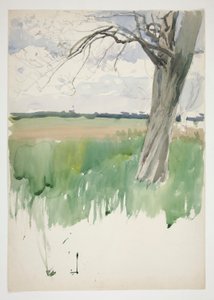 Studie van een veld en boom