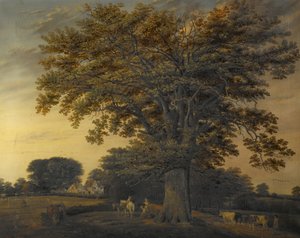 De Binley Eik door Edwin Brown