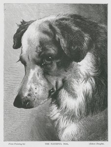 De trouwe hond (gravure) door Edwin Douglas