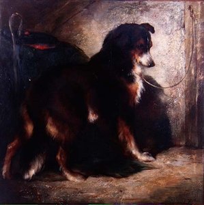 De herdershond door Edwin Douglas