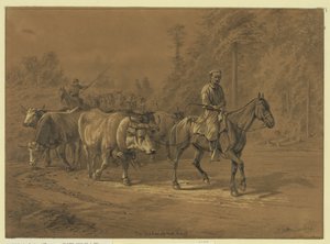 De leider van de kudde door Edwin Forbes