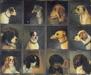 Twaalf Favoriete Honden, 1883