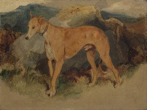 Een Deerhound door Edwin Landseer