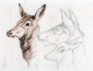 Facsimile van een tekening door Sir E Landseer, 1874 door Edwin Landseer
