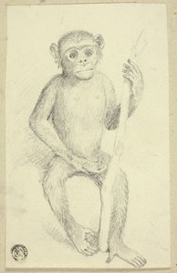 Orang-oetang