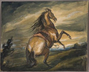 Steigerend paard