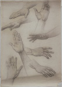 Studies van Handen