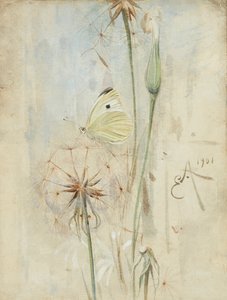 Vlinder en Distelpluis