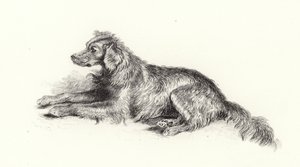 Een setterhond door Edwin Landseer