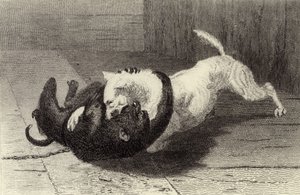 Voorbeeld X, hond vecht met aap door Edwin Landseer