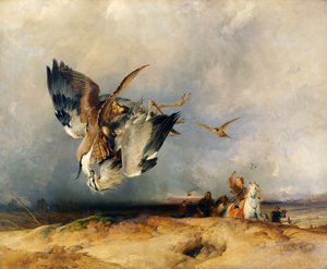 Valkenjacht in vroegere tijden