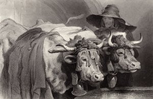 Ossen bij de Tank, Genève, Zwitserland door Edwin Landseer