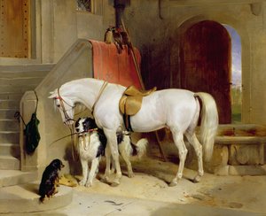 Favorieten van Prins George