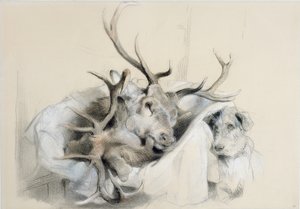 Hertenhoofden en Hond, 1857 door Edwin Landseer