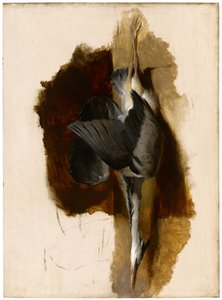 Studie van een dode reiger, c.1832-33