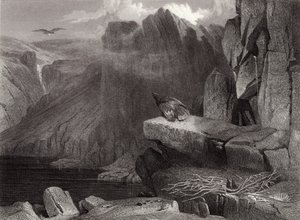 Het Nest van de Adelaar door Edwin Landseer