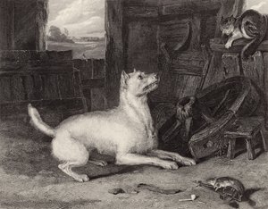 De indringer door Edwin Landseer