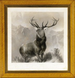De monarch van de hooglanden, 1852