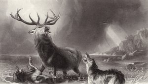 Het hert in het nauw door Edwin Landseer