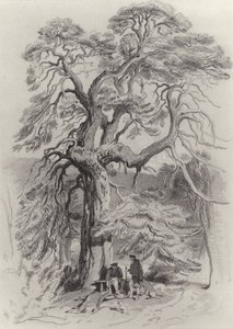 Onder de oude spar door Edwin Landseer
