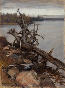  door Eero Järnefelt