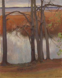 Oever met riet door Eero Järnefelt
