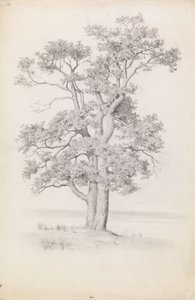  door Eero Järnefelt