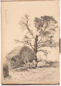  door Eero Järnefelt