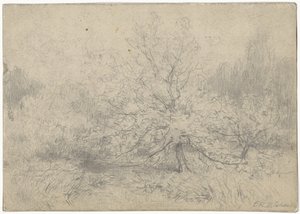 Landschap met een boom prominent in het midden