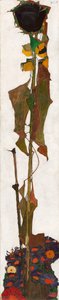 Zonnebloem, 1909-1910 door Egon Schiele