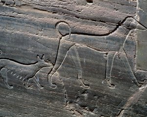 Koppel honden, reliëf van ingang, Graf van Sarenput II, Graven van Prinsen, Qubbet el-Hawa, westelijke oever van de Nijl bij Aswan, Egyptische beschaving, Middenrijk, Dynastie XII door Egyptian 12th Dynasty