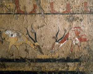 Egyptische oudheid: veeteelt. Fresco van het graf van koningin Neferou III. 12e dynastie. 2200-2000 v.Chr. Uit El Ghebelen. Turijn, Egyptisch museum